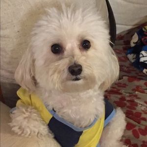 Meet your Posher, Angelica